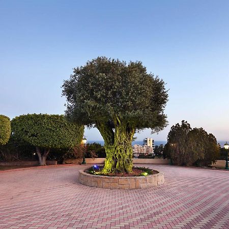 Olive Tree Apartments Лімасол Екстер'єр фото
