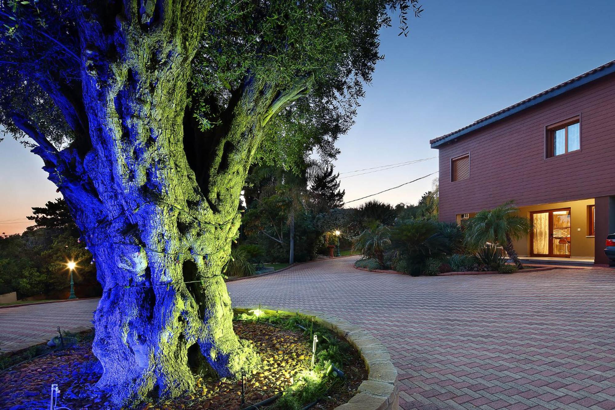 Olive Tree Apartments Лімасол Екстер'єр фото