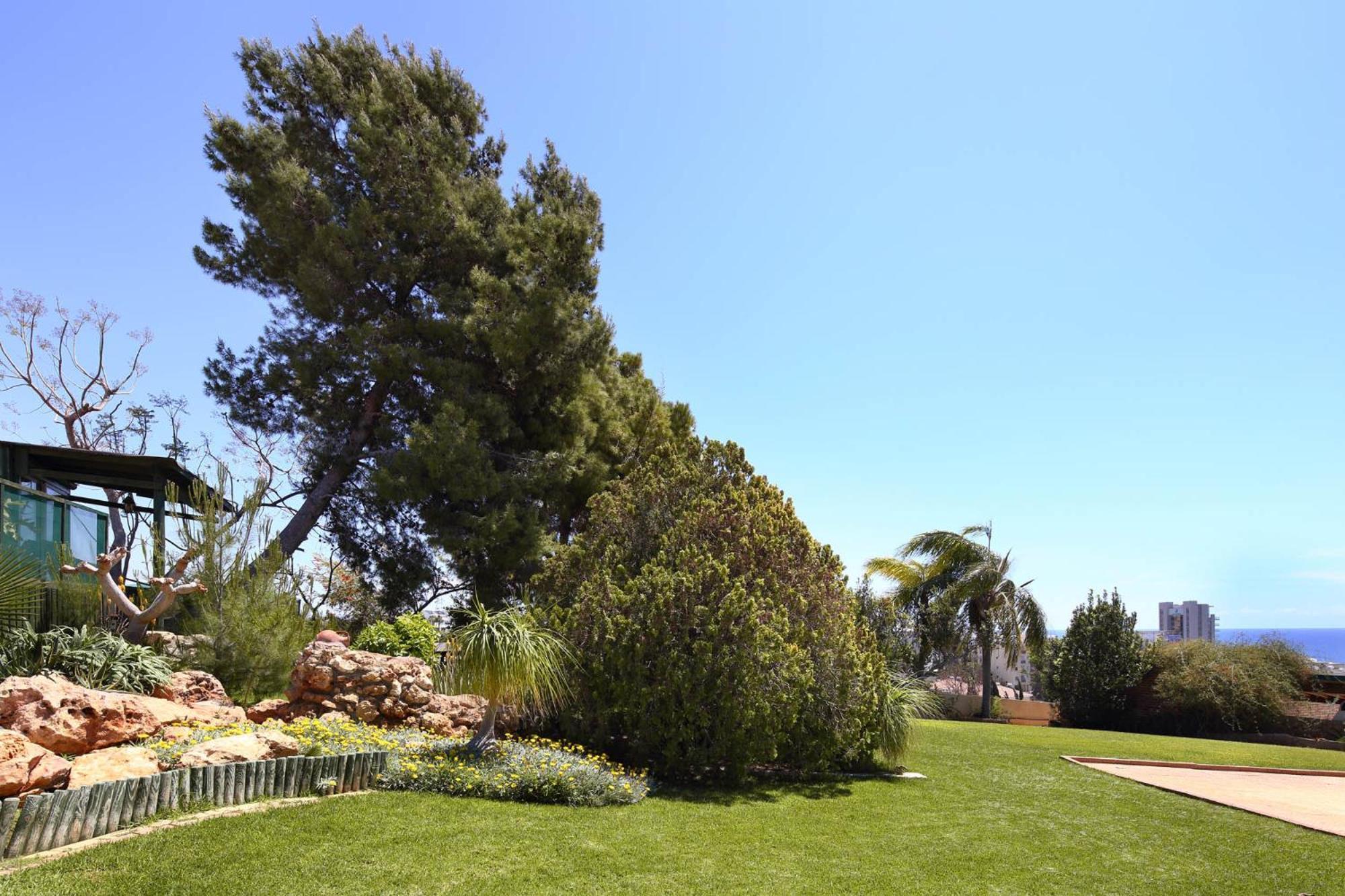 Olive Tree Apartments Лімасол Екстер'єр фото