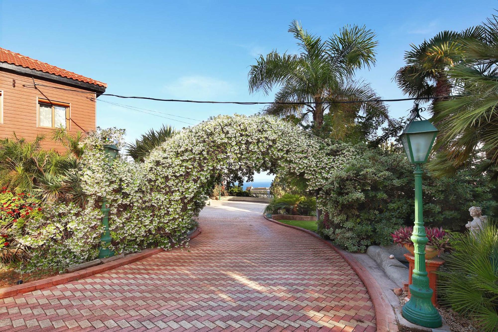 Olive Tree Apartments Лімасол Екстер'єр фото