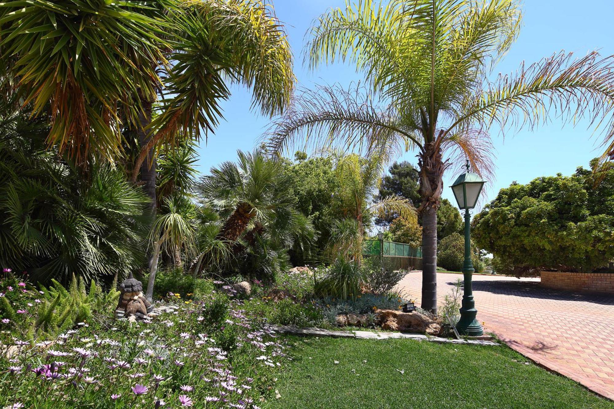 Olive Tree Apartments Лімасол Екстер'єр фото